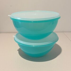 Set of 2 Medium Tupperware Teal Storage Bowls with Lids